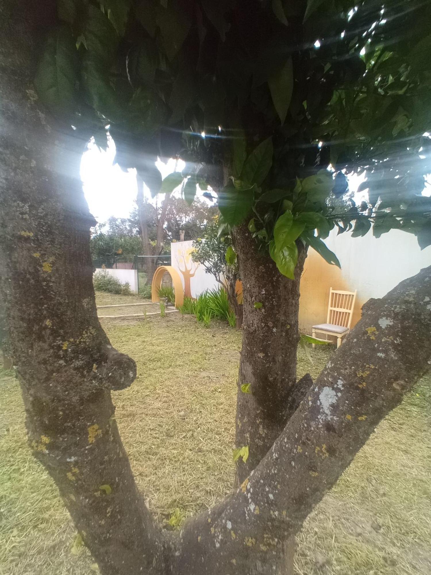 O Mundo Da Lua Villa อาเซย์เตา ภายนอก รูปภาพ