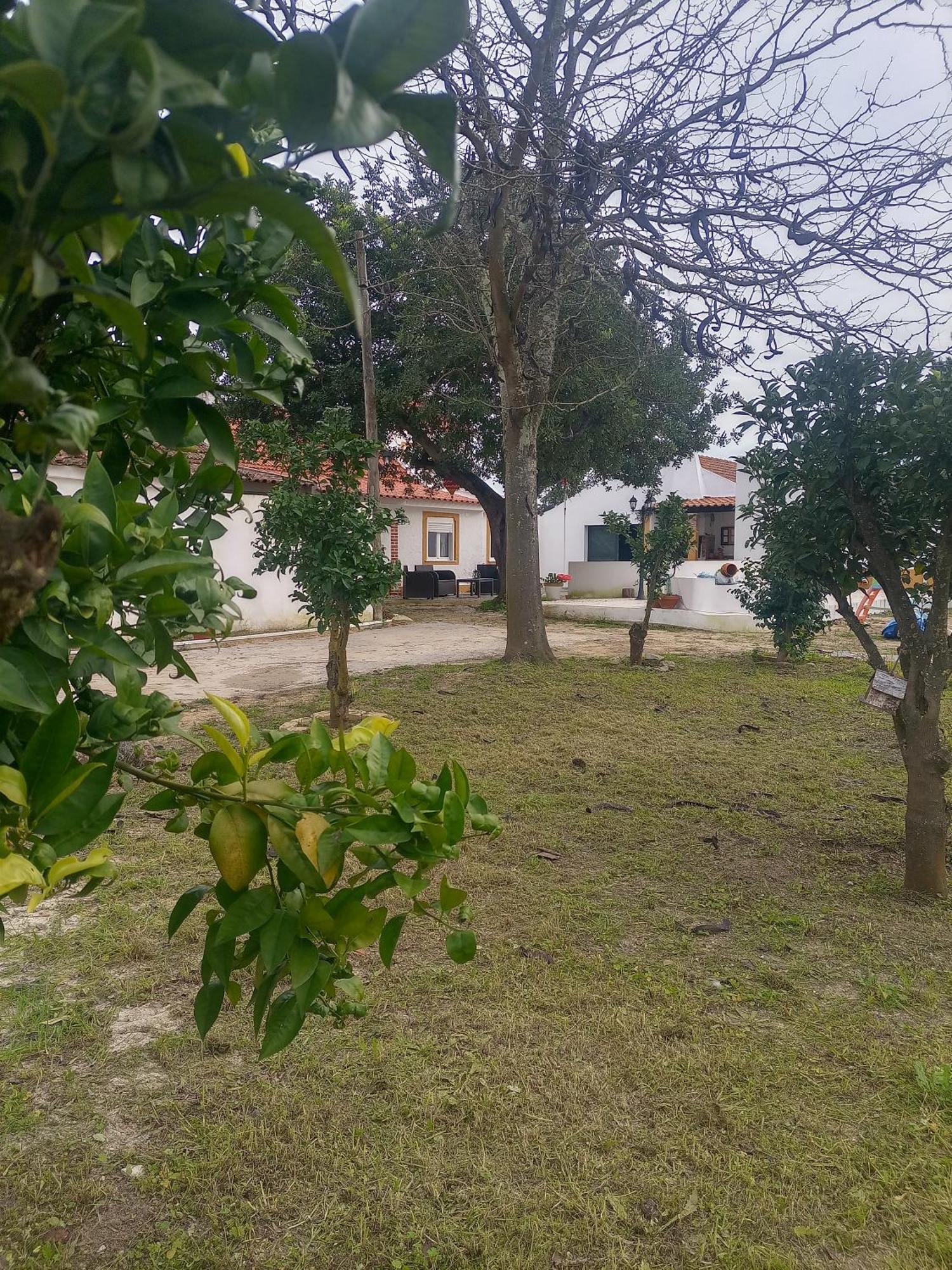 O Mundo Da Lua Villa อาเซย์เตา ภายนอก รูปภาพ
