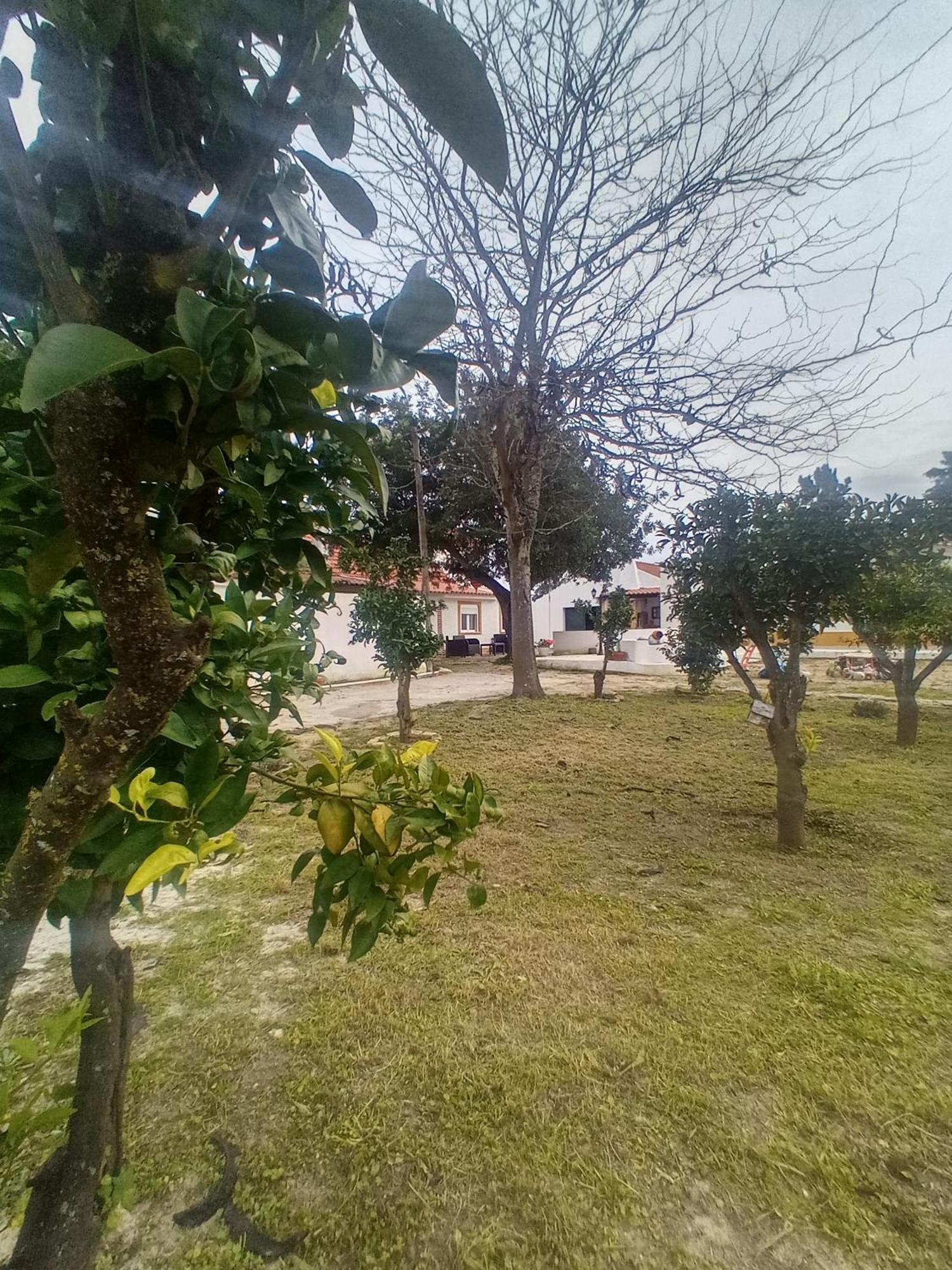 O Mundo Da Lua Villa อาเซย์เตา ภายนอก รูปภาพ