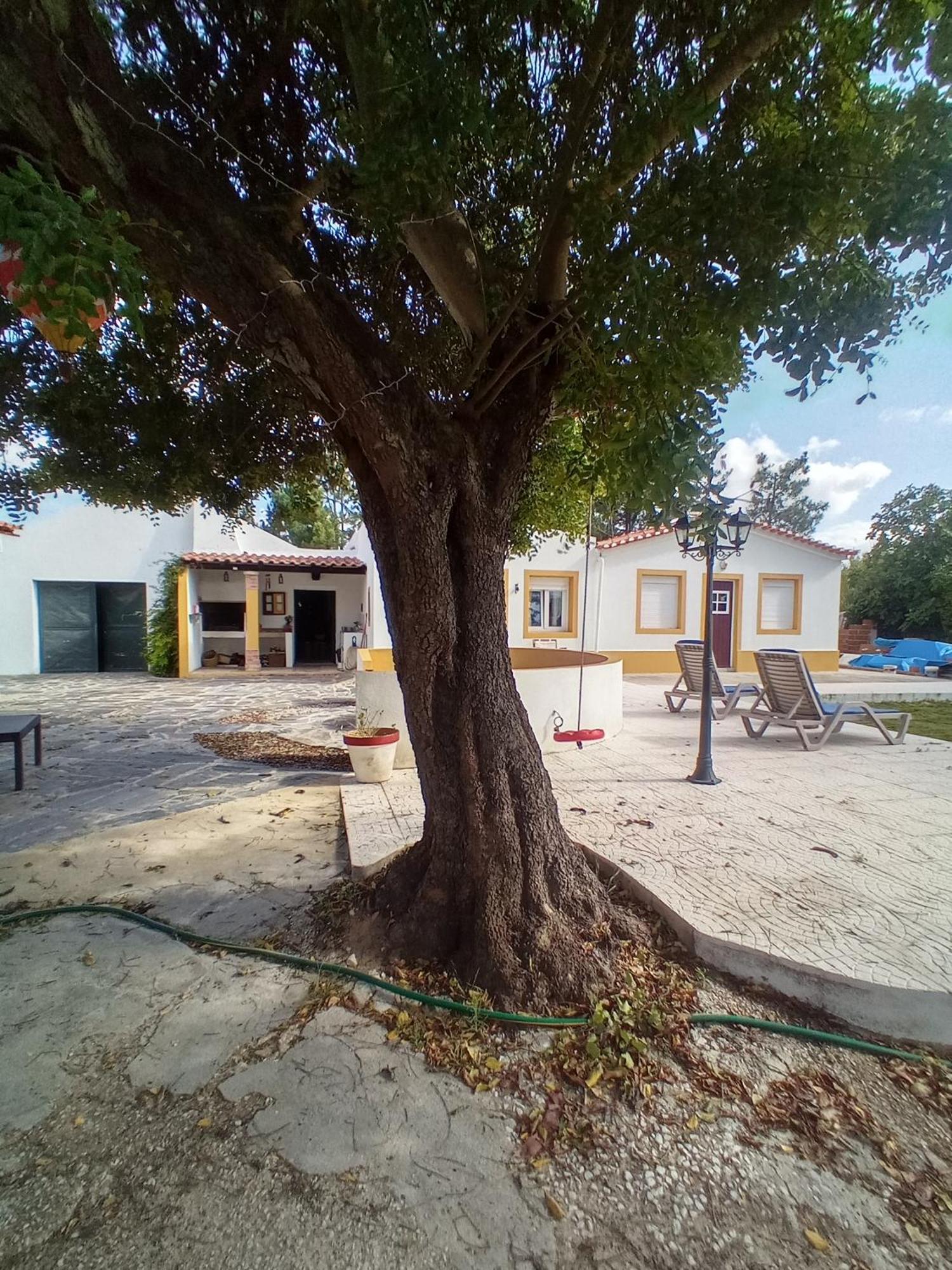 O Mundo Da Lua Villa อาเซย์เตา ภายนอก รูปภาพ